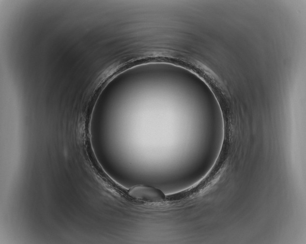 X0000116660977200912141317