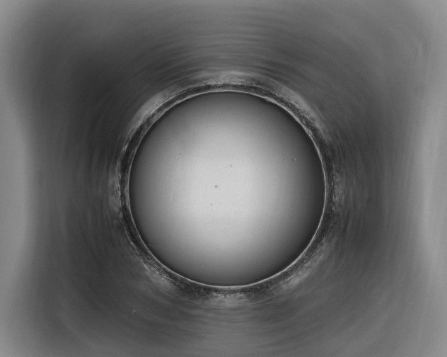 X0000116660978200912141317