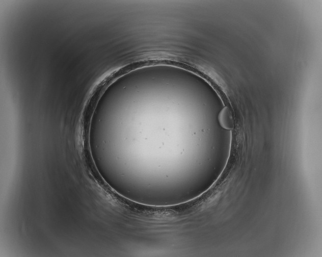 X0000116660979200912141317