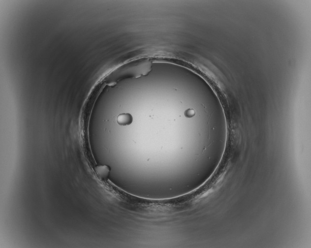 X0000116660981200912141317