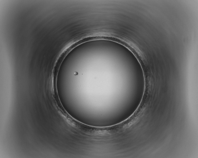 X0000116660982200912141317