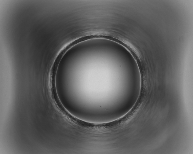 X0000116660983200912141317