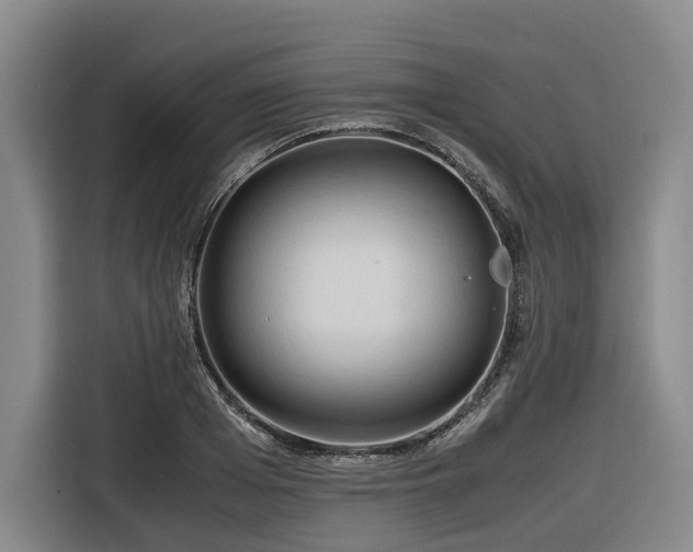 X0000116660985200912141317