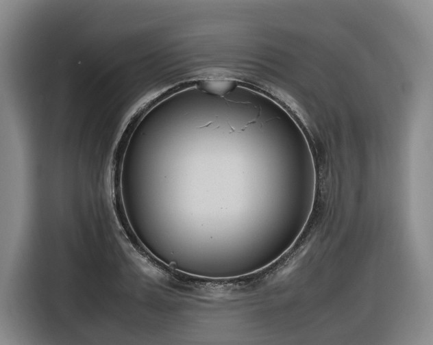 X0000116660987200912141317