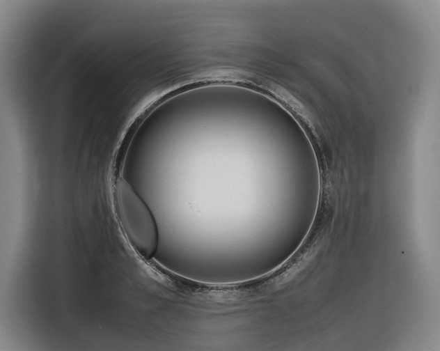 X0000116660989200912141317