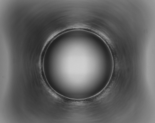 X0000116660990200912141317