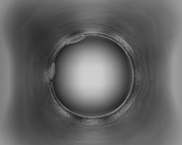 X0000116660993200912141317