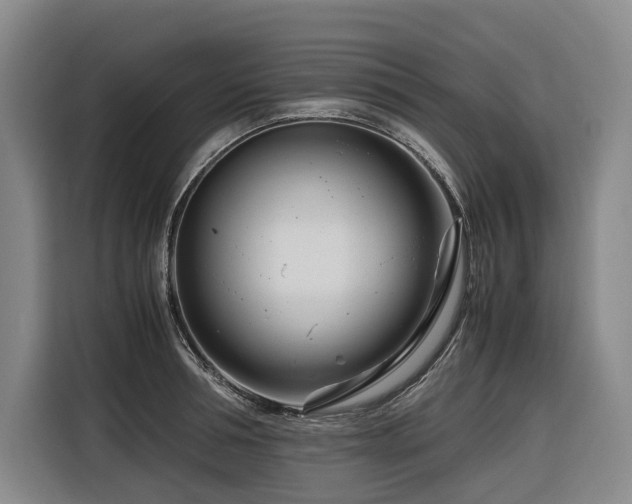 X0000116660994200912141317