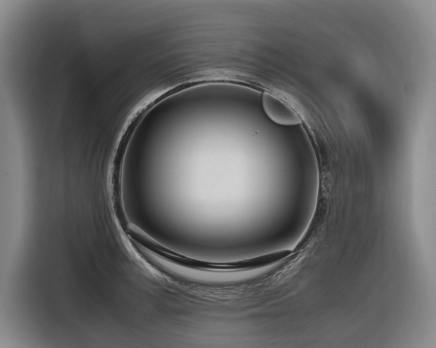 X0000116660995200912141317