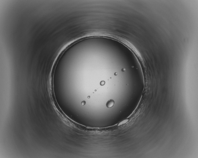 X0000116660996200912141317