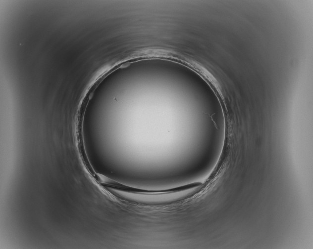 X0000116660997200912141317