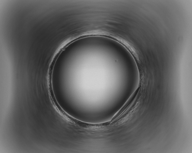 X0000116660998200912141317