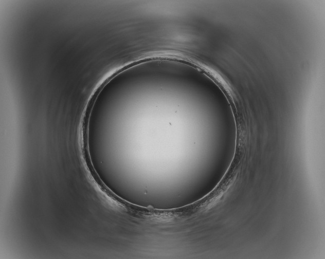 X0000116660999200912141317