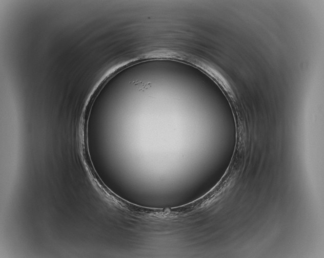 X0000116661000200912141317