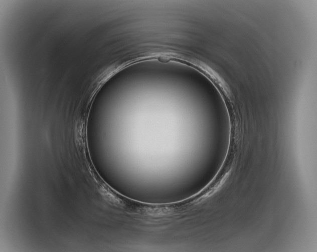 X0000116661001200912141317