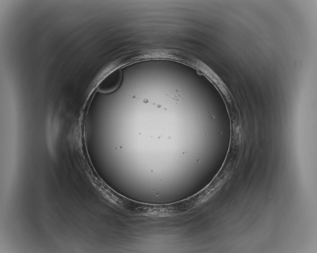 X0000116661002200912141317