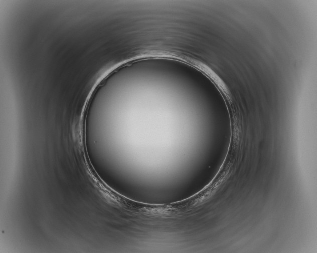 X0000116661004200912141317