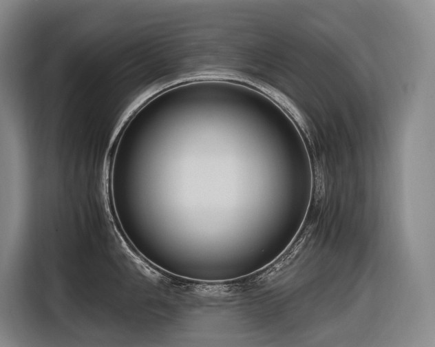 X0000116661006200912141317