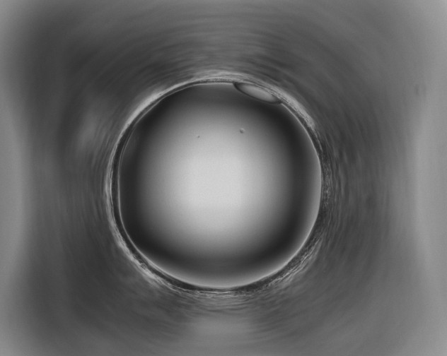 X0000116661007200912141317