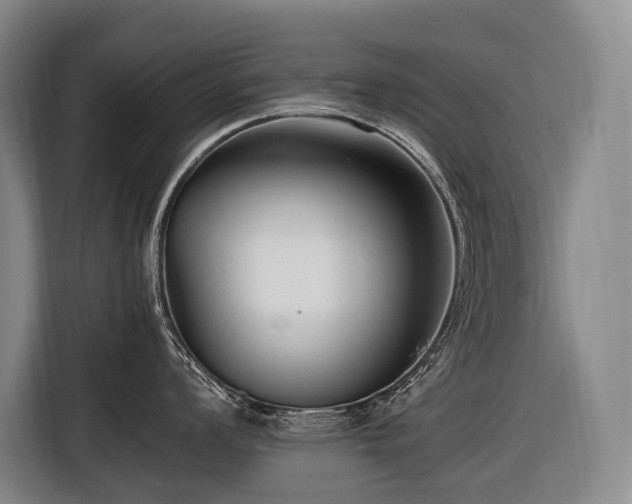 X0000116661008200912141317