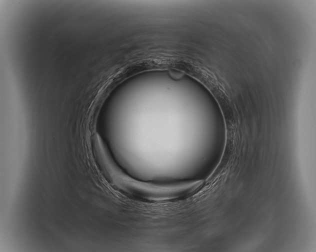 X0000116661009200912141316