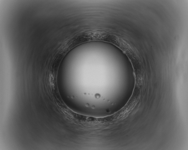 X0000116661010200912141316