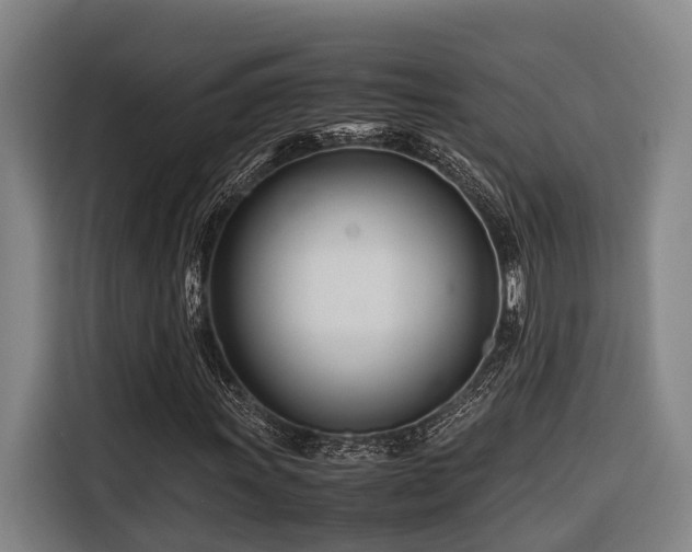 X0000116661011200912141316