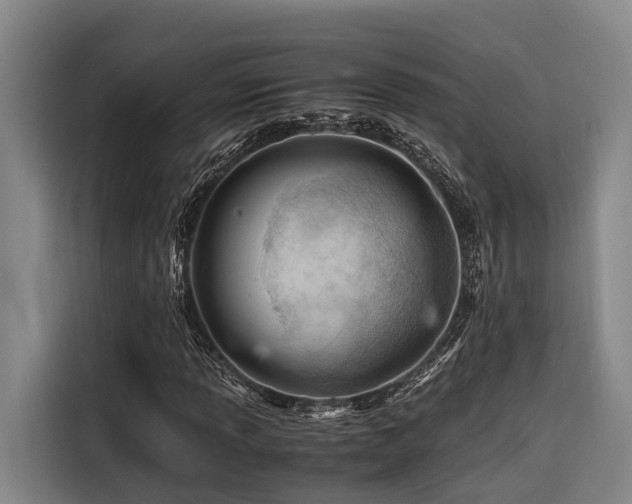 X0000116661013200912141316