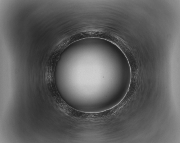 X0000116661014200912141316