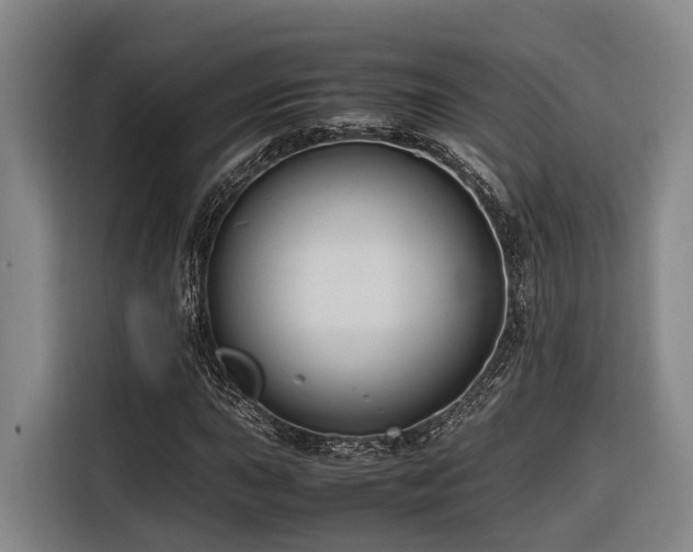 X0000116661015200912141316