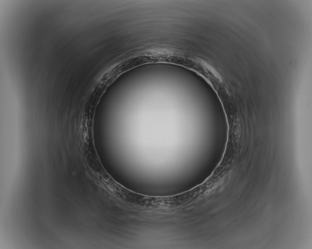 X0000116661016200912141316