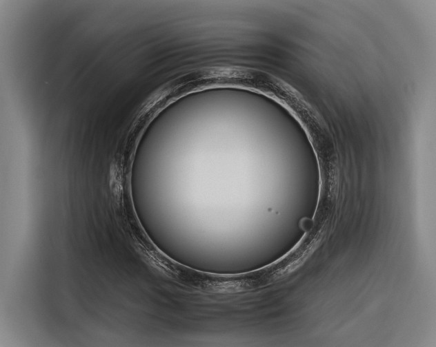 X0000116661017200912141316