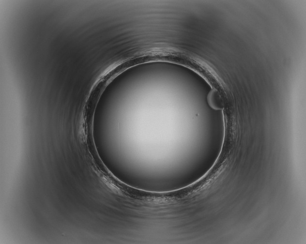 X0000116661018200912141316