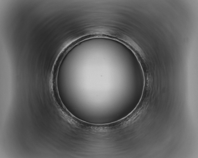 X0000116661020200912141316