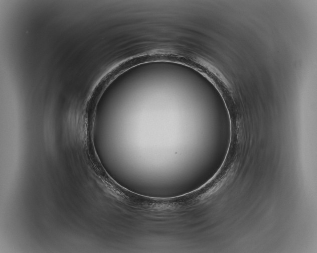 X0000116661021200912141316