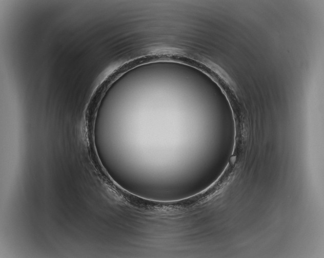 X0000116661022200912141316