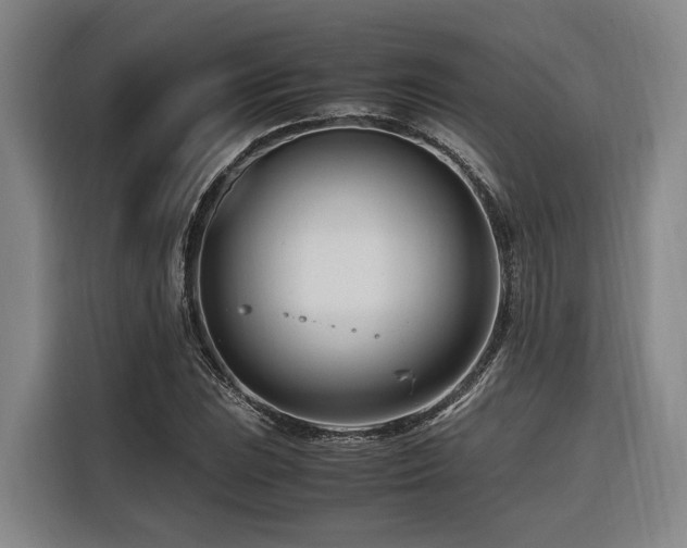 X0000116661023200912141316