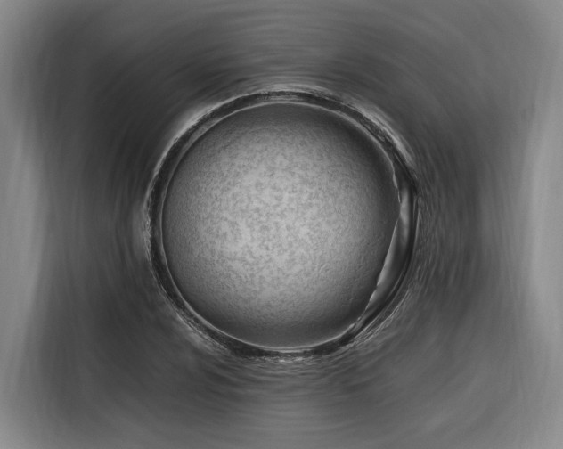 X0000116661024200912141316