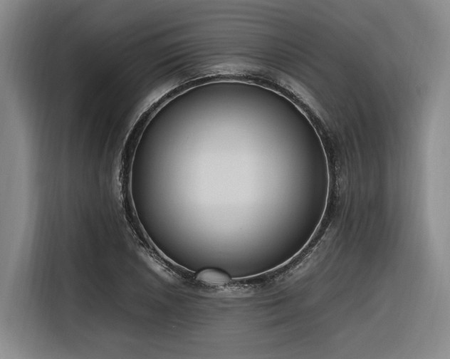 X0000116661026200912141316