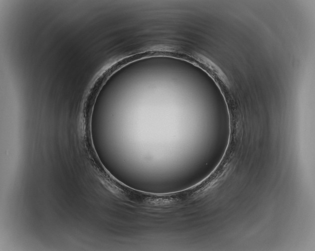 X0000116661027200912141316