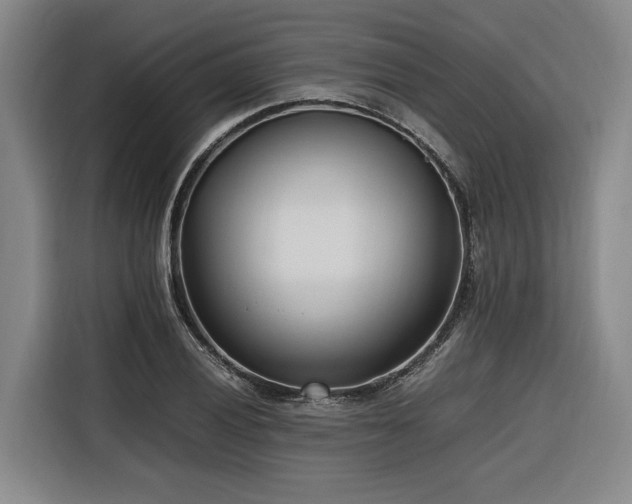 X0000116661028200912141316