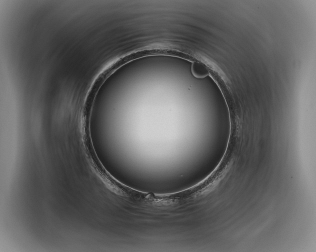 X0000116661029200912141316