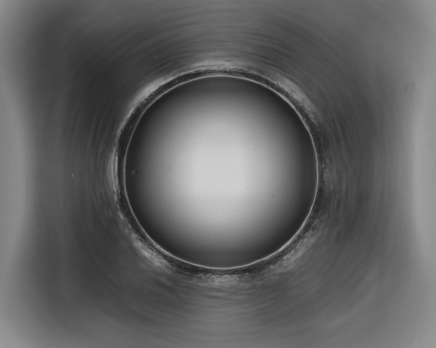 X0000116661030200912141316