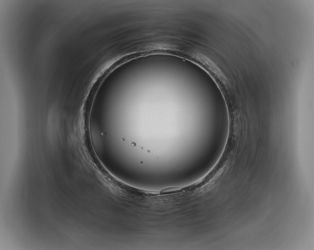 X0000116661031200912141316