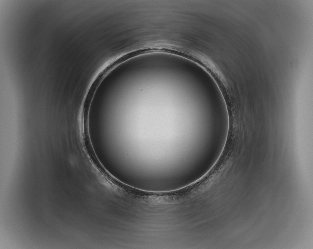 X0000116661032200912141316