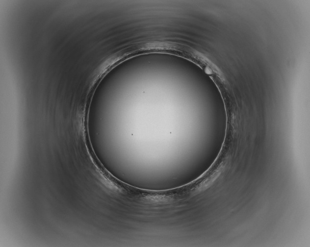 X0000116661033200912141316