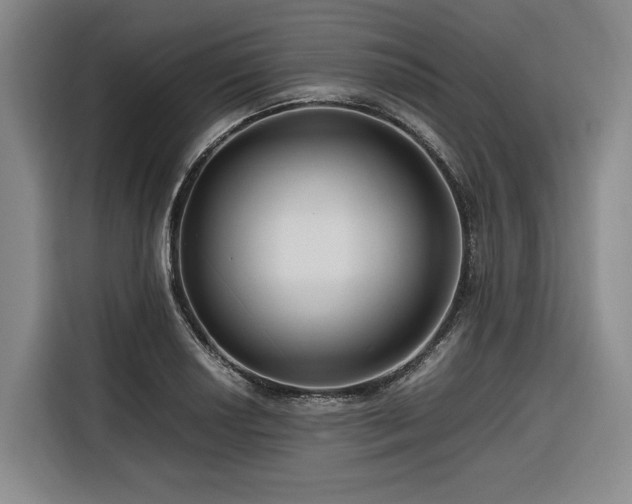 X0000116661034200912141316