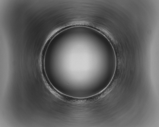 X0000116661038200912141316