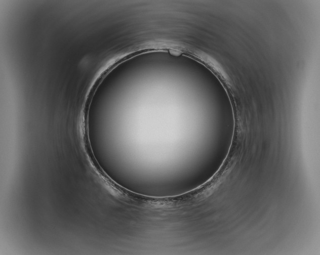 X0000116661040200912141316