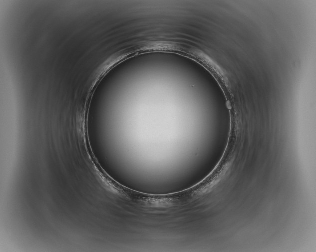 X0000116661041200912141316